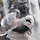 ❤️ <b>SSG</b> LANDERS🛸V6를 위한 달글 1198차 ❤️