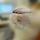 고양이 <b>집사</b>여시덜