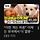 <b>진돗개</b> 미국에서 핫하대