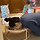 집사야, 그만해.. 그만좀..gif