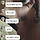 [이준혁 외] 풀카운트 24
