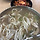 화목칼국수