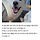 <b>진돗개</b>의 해외 입양이 능사가 아니라는걸 보여주는 <b>진돗개</b> 이레의 해외 입양과 파양 이야기