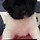 🥰사랑이 넘치는 <b>창원</b>달글 속 작은 포인핸드(마산/<b>창원</b>/진해) [유기견🐕/길냥이🐈/입양/임보/목격👀]