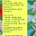혹시 오늘 19:30 <b>용산</b>cgv 영화 알파 시사회 양도받을 여시 있을까(1인 2매)