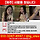 [단독] <b>제주</b> 경찰, 실종 30대 여성 '인터폴 황색수배' 요청