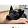 <b>진돗개</b>의 플러팅 3단 콤보