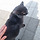 <b>화성</b>전곡항 주차장에 이 고양이 있는데 존나 애교냥이임 납치해오고싶었는데...