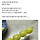 타래가 개웃김ㅋㅋㅋㅋㅋ