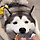 세상 순둥하게 터그 놀이하는 허숙희.gif