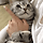 <b>집사</b> 품에 안겨 있는 냥이