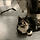 터키 지하철역에서 사는 고양이.gif