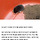 두더지의 `해악` 전하려다가 유튜브 대박 터뜨린 중년 <b>농부</b>