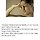 동양인이 서양인 인종차별 하는법