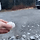싱글벙글 미국참새 먹이주기...gif