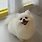 이미지정보