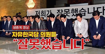 저희가 잘못했습니다 (개난감) | 인스티즈