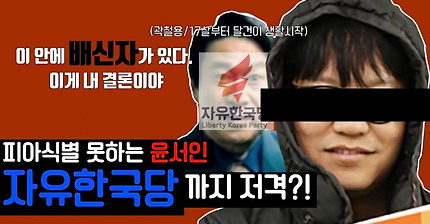 논리도 안되고 상식도 안되고, 유튜브에 우파 X맨 '윤서인'이 있다. 이게 내결론이다