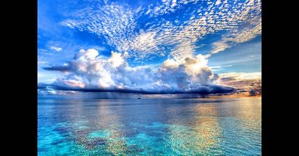 앙드레 가뇽의 바다 위의 피아노 | 인스티즈