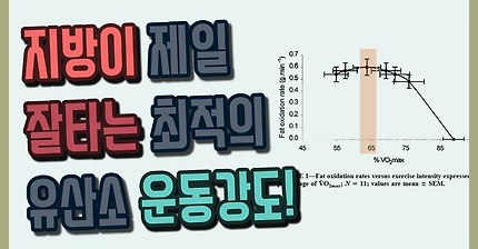 지방이 제일 잘타는 유산소 운동 강도는?