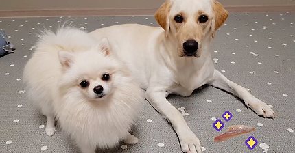 "먹어" 대신 다른말을 해보았습니다 | 인스티즈