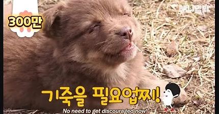 나만 점박이 없어...ㅠ 다른 형아들 다 점박이 있고 나만 없어....ㅜㅜ | 인스티즈