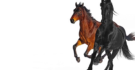 Lil Nas X - Old Town Road ft. Billy Ray Cyrus | 인스티즈