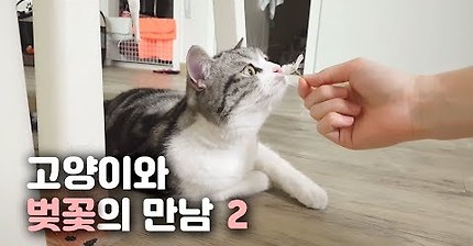 뿌스타그램 귀요미 뿌냥이ㅠㅠ | 인스티즈