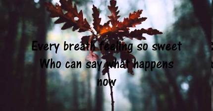 Pinkzebra - We won't stop dreaming (Lyrics)