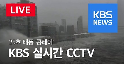 실시간 태풍 부산 ㄷㄷㄷ | 인스티즈
