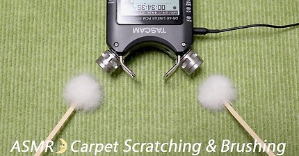 [ASMR] Carpet Scratching, Brushing & Tapping / Ear Cleaning / No Talking / カ?ペットをスクラッチング