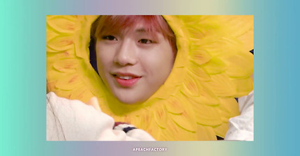 [4K] 해바라기 강다니엘 Sunflower Kang Daniel cut