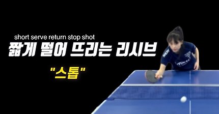 빼롱요롱 탁구레슨.66 상대 테이블에 짧게 떨어뜨리는 스톱 기술 배우기
