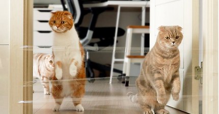 아직도 이영상 안 본 사람 없지?#9 | 인스티즈