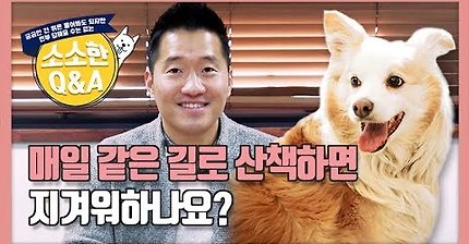 강형욱Q&amp;A) 강아지 산책, 매일 같은 길로 하면 지겨워할까 | 인스티즈