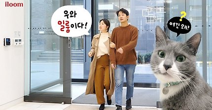 고양이와 함께 쓰는 가구 프로젝트에 들어간 일룸 | 인스티즈