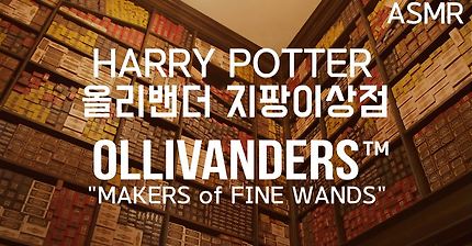 ASMR 나에게 맞는 지팡이를 추천해주는 '올리밴더스 지팡이상점' (영화, 해리포터) I ‘Harry Potter' Ollivanders Wand Shop