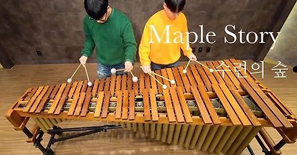 마림바가 들려주는 메이플스토리 에레브 수련의 숲 (Raindrops Flower – Pulse Marimba Cover)