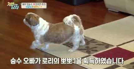 훈남 배우 김승수♥할머니犬 로리, 15년 차 환상 케미 폭발!