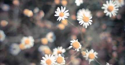 3D ASMR 한국어 Korean/ ear cleaning with latex gloves