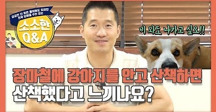 강형욱Q&amp;A) 비오는 날에 강아지를 안고 산책하면 산책했다고 느낄까 | 인스티즈