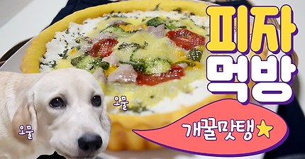 강아지가 먹는 피자 먹방 ★ 소녀 리얼사운드 ASMR ★ 피자 이팅사운드 수제간식 강아지 간식