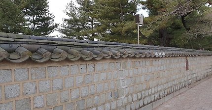 산책 길에서 만난 행복