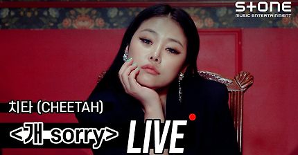 [Stone LIVE] 치타 - 개 Sorry ｜ CHEETAH, So Sorry, 라이브