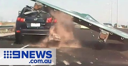 죽을 뻔한 운전자.gif | 인스티즈