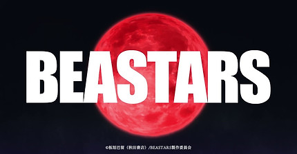 신작 애니 'BEASTARS' 예고편 | 인스티즈