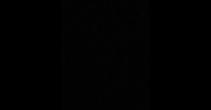 해외에서 유행하는 In My Feelings 챌린지 영상 중에... (혐오주의) | 인스티즈