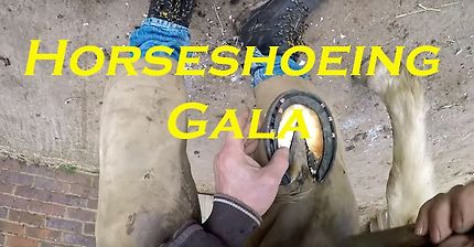 말발굽 편자 가는 영상 | 인스티즈