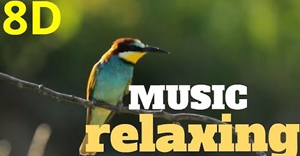 ?8D-Music RELAXING nature sound birds-meditation,calm,peace audio 8D