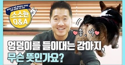 강형욱Q&amp;A) 엉덩이를 들이대는 강아지, 무슨 뜻일까 | 인스티즈